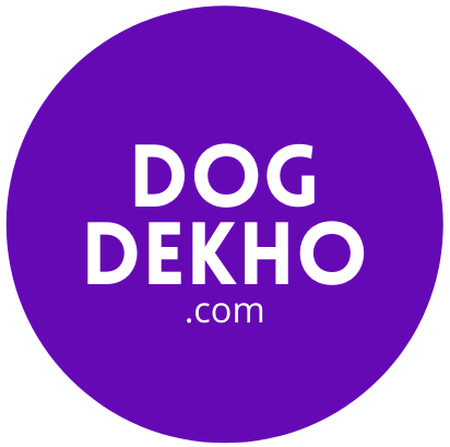 DogDekho.com